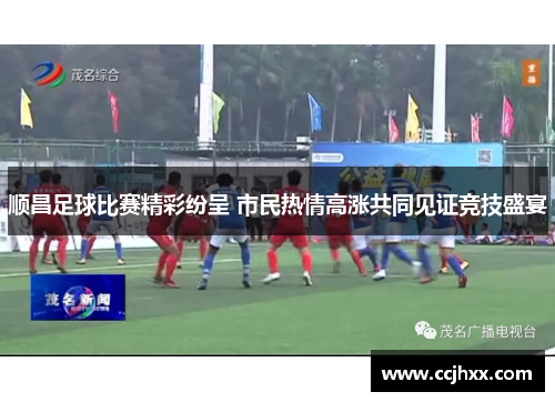 顺昌足球比赛精彩纷呈 市民热情高涨共同见证竞技盛宴