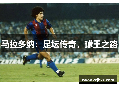 马拉多纳：足坛传奇，球王之路