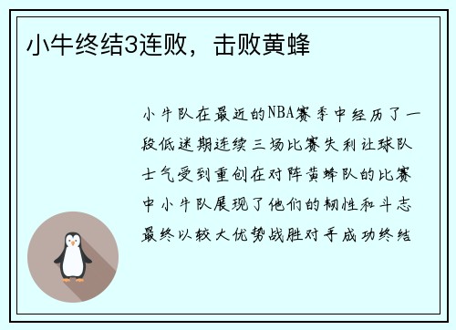 小牛终结3连败，击败黄蜂