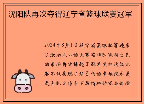 沈阳队再次夺得辽宁省篮球联赛冠军