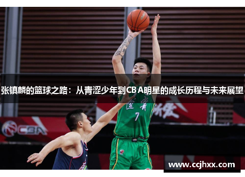 张镇麟的篮球之路：从青涩少年到CBA明星的成长历程与未来展望